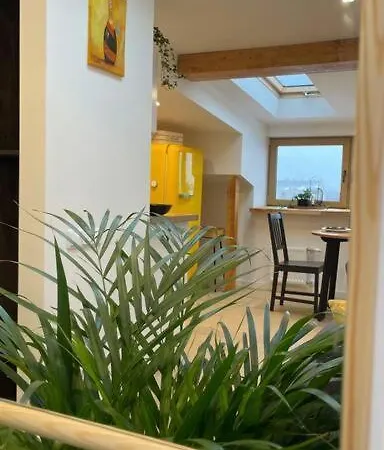 Central Newly Renovated 2 Bedroom Mansard Appartement